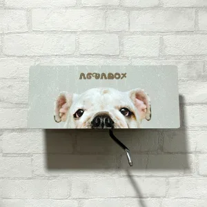 Aguadox Bull Dog